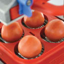 005-98000012A Multiple Thumbnail Image #2