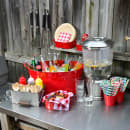 229-100113 Multiple Thumbnail Image #1