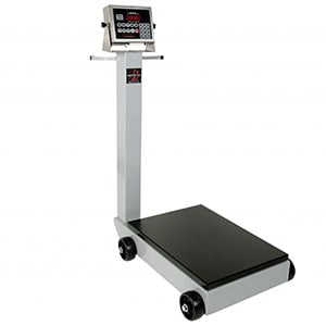 Detecto Floor Scale Example Product