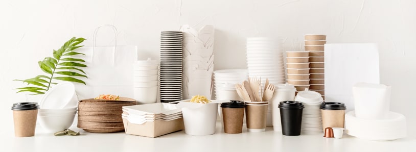 Disposable Tableware Category Icon