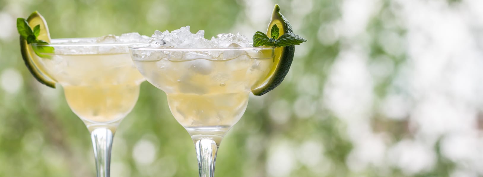 Margarita Glasses Category Icon