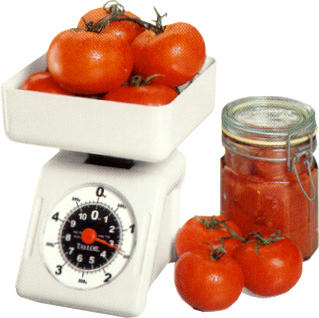 Taylor 38704016T 11 lb Portion Scale Dial Type