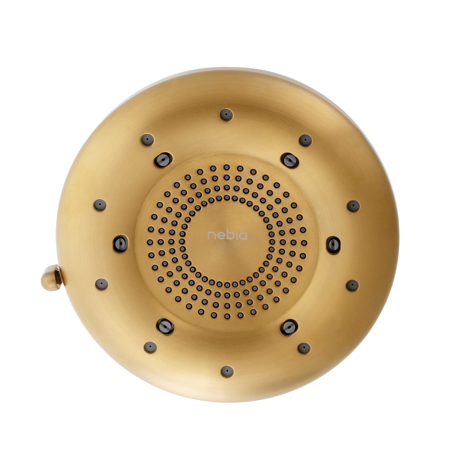 Brondell N400H0BG Nebia Corre Four-Function Hand Shower Finish: Brushed Gold