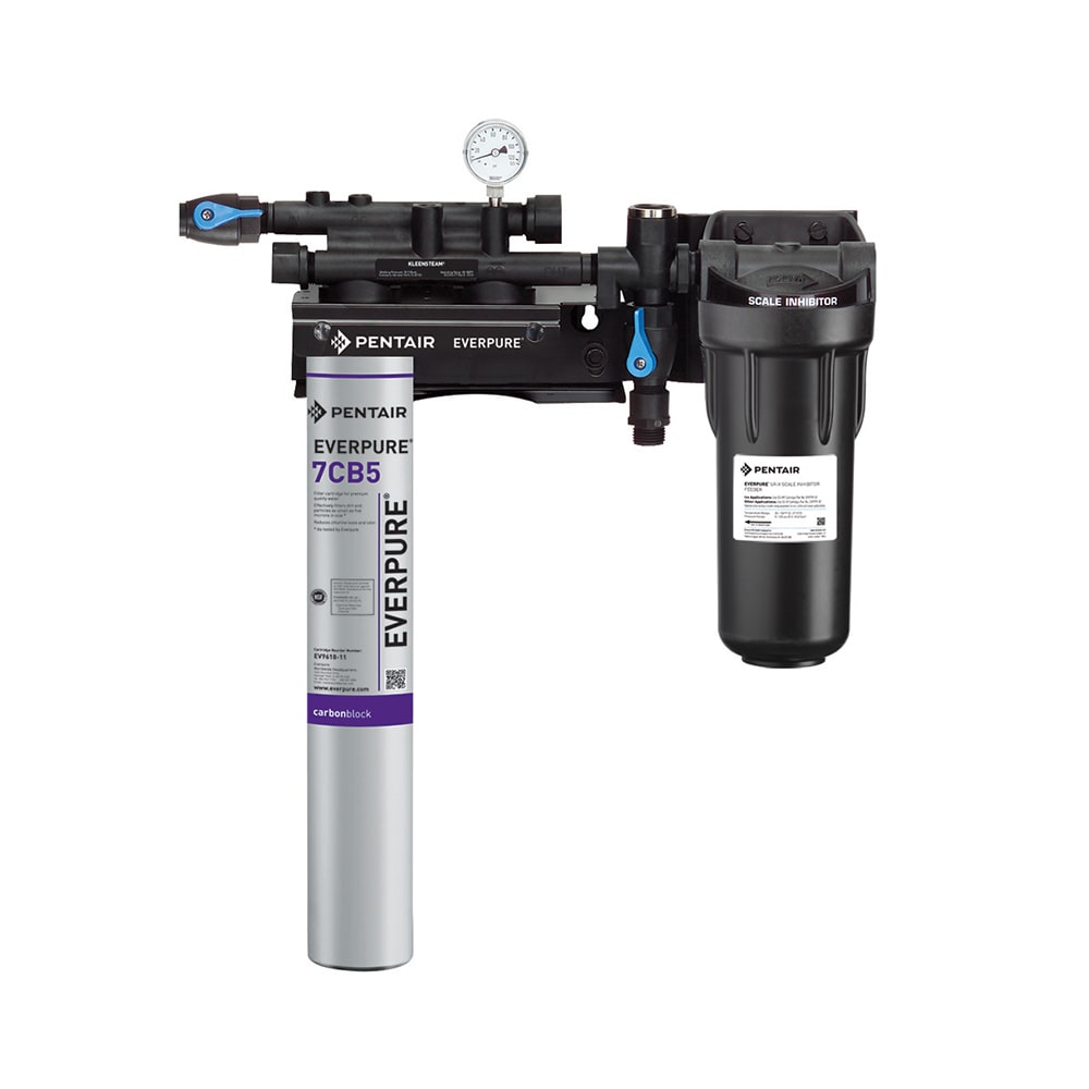 Y♦1175 ライフエレメント 浄水器 Tera King Aqua 未使用品！ Everpure EV979721 KleenSteam II® Single 7CB5 Combination Water